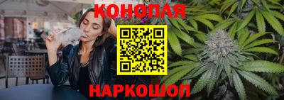 шишки Лесосибирск