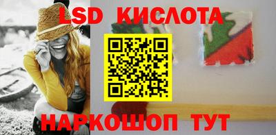 шишки Лесосибирск
